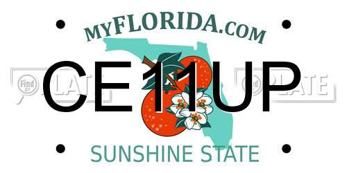 CE11UP Florida License Plate