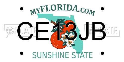 CE13JB Florida License Plate