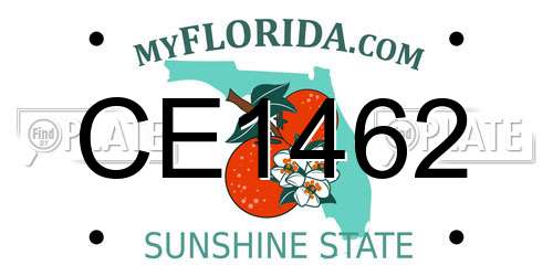 CE1462 Florida License Plate