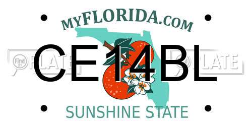 CE14BL Florida License Plate