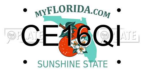 CE16QI Florida License Plate
