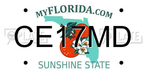 CE17MD Florida License Plate