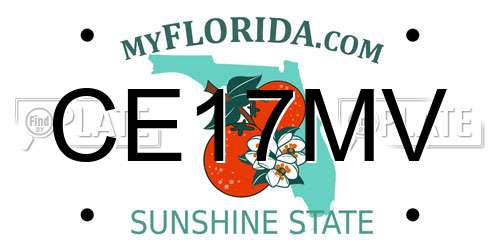 CE17MV Florida License Plate