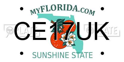 CE17UK Florida License Plate