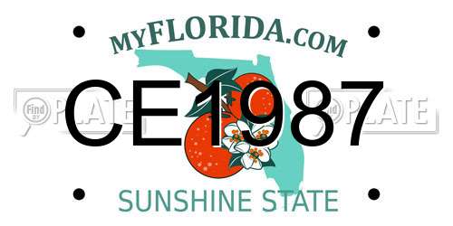 CE1987 Florida License Plate