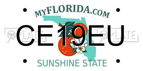 CE19EU Florida License Plate