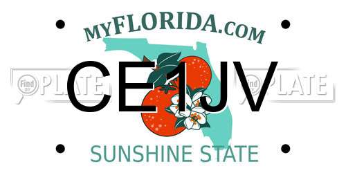 CE1JV Florida License Plate