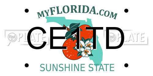 CE1TD Florida License Plate