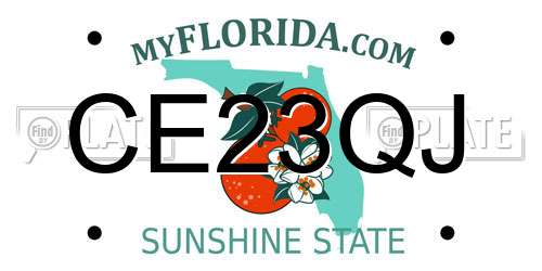 CE23QJ Florida License Plate