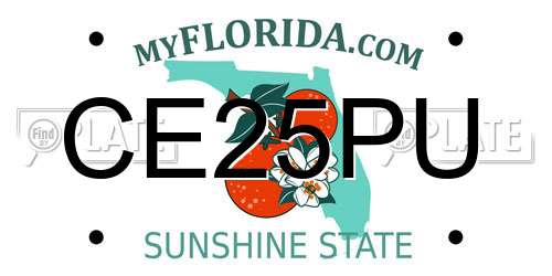 CE25PU Florida License Plate