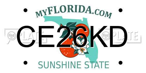 CE26KD Florida License Plate