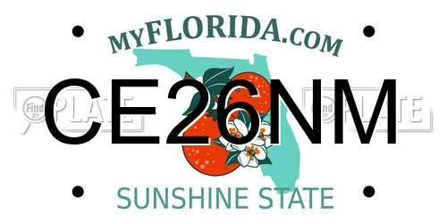 CE26NM Florida License Plate