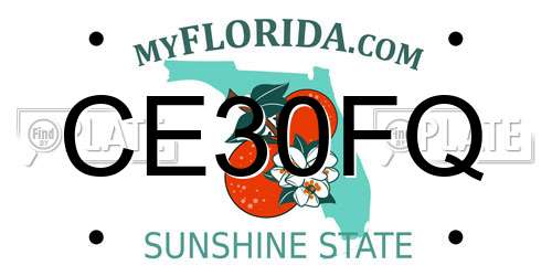 CE30FQ Florida License Plate