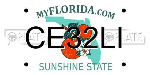 CE32LI Florida License Plate