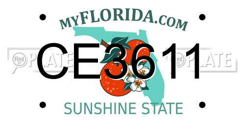 CE3611 Florida License Plate