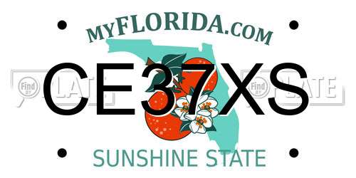 CE37XS Florida License Plate