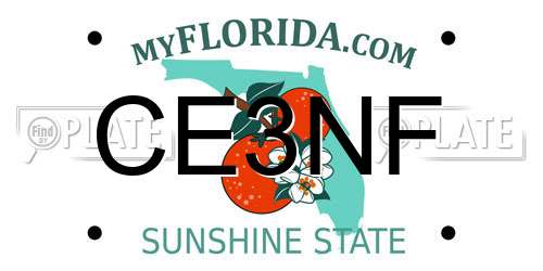 CE3NF Florida License Plate