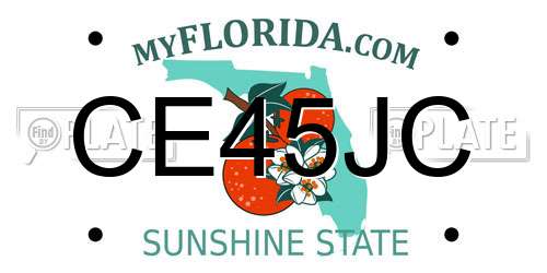 CE45JC Florida License Plate