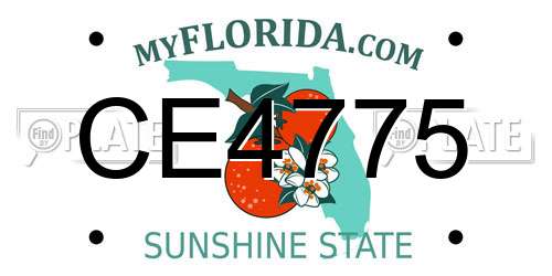CE4775 Florida License Plate