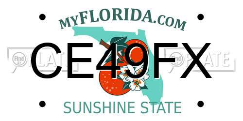 CE49FX Florida License Plate