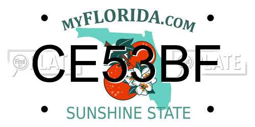 CE53BF Florida License Plate