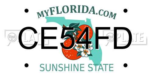 CE54FD Florida License Plate