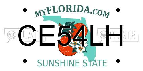 CE54LH Florida License Plate
