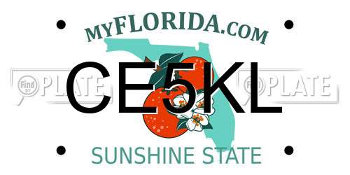 CE5KL Florida License Plate