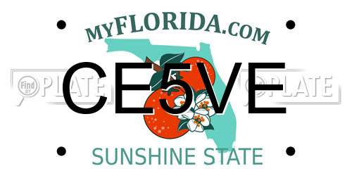 CE5VE Florida License Plate