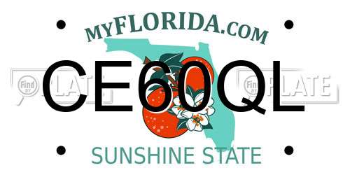 CE60QL Florida License Plate