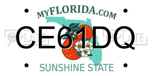 CE61DQ Florida License Plate