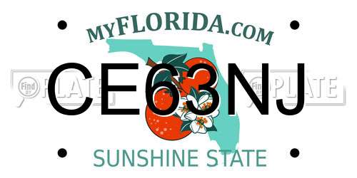 CE63NJ Florida License Plate