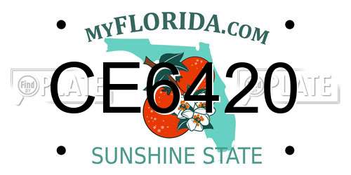 CE6420 Florida License Plate