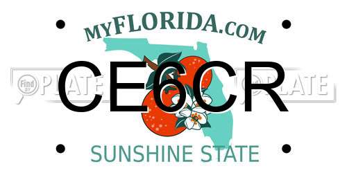 CE6CR Florida License Plate