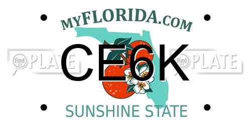 CE6K Florida License Plate