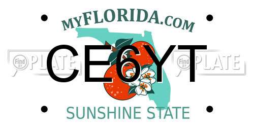 CE6YT Florida License Plate