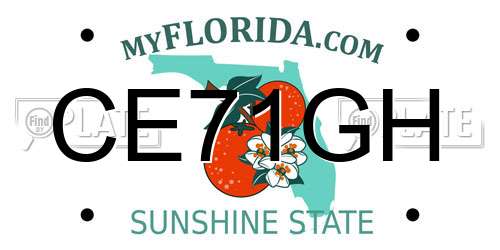 CE71GH Florida License Plate
