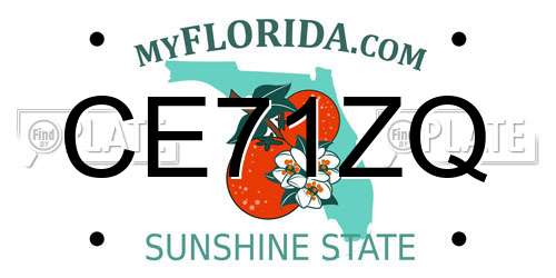 CE71ZQ Florida License Plate