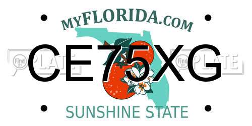 CE75XG Florida License Plate