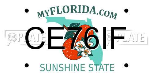 CE76IF Florida License Plate