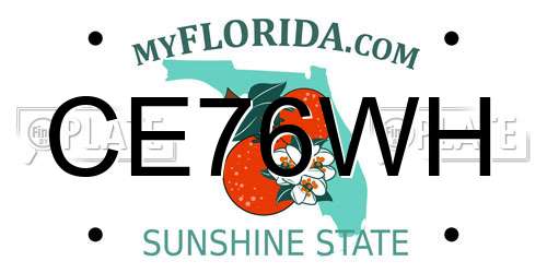 CE76WH Florida License Plate