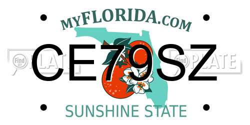 CE79SZ Florida License Plate