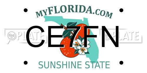 CE7FN Florida License Plate