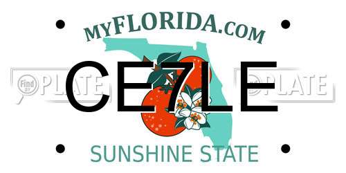 CE7LE Florida License Plate