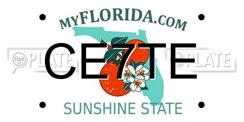 CE7TE Florida License Plate