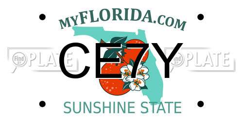 CE7Y Florida License Plate
