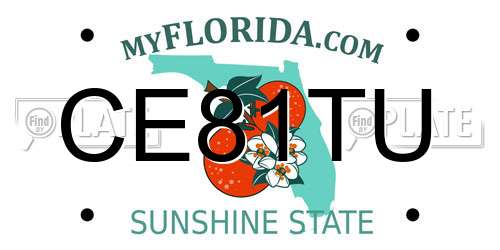 CE81TU Florida License Plate