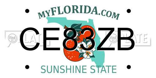 CE83ZB Florida License Plate