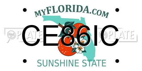 CE86IC Florida License Plate