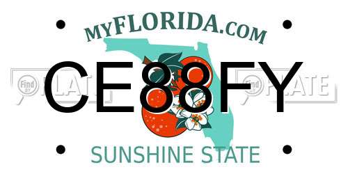 CE88FY Florida License Plate